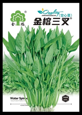 金榕三叉