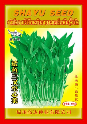 靓竹三叉空心菜