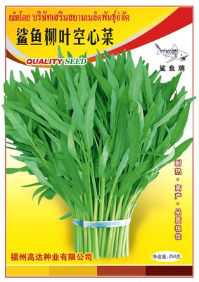 鲨鱼柳叶空心菜