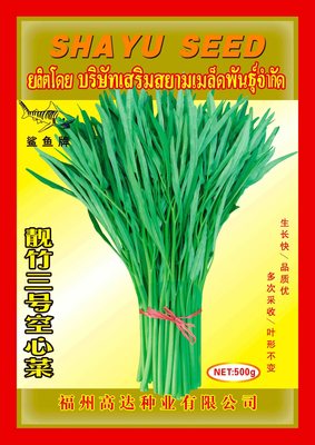 靓竹三号空心菜