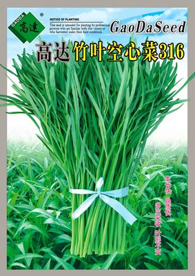 高达竹叶空心菜316