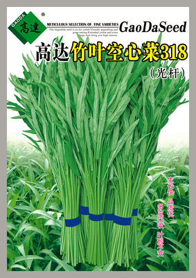 高达竹叶空心菜318(光杆)