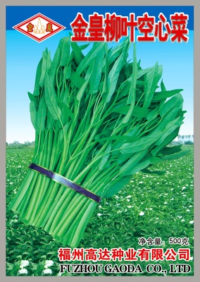 金皇柳叶空心菜