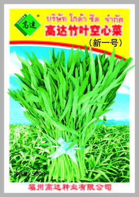 高达竹叶空心菜新一号