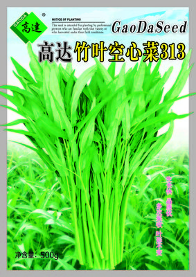 高达竹叶空心菜318