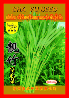 靓竹空心菜