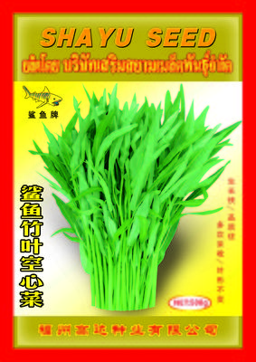 泰国竹叶空心菜