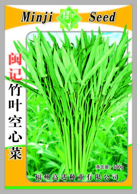 闽记竹叶空心菜