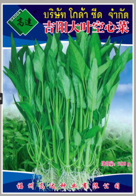 吉阳大叶空心菜
